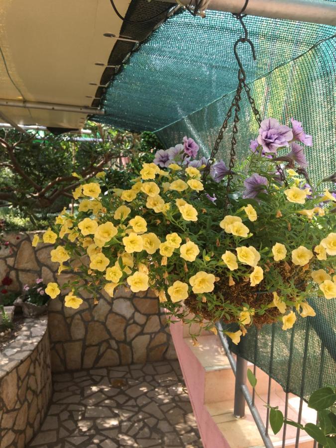 Apartmani Anica Risika Esterno foto