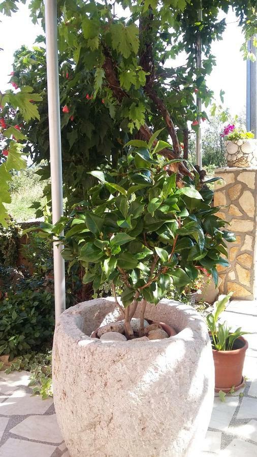 Apartmani Anica Risika Esterno foto